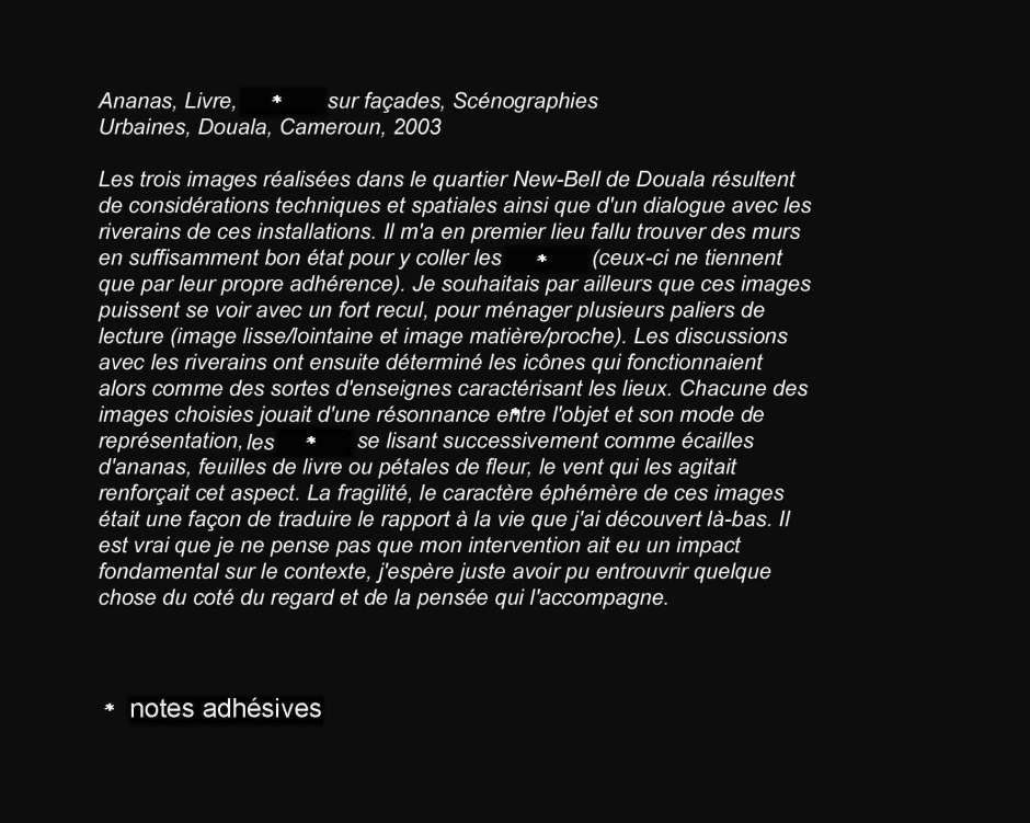 ananas-livrescenographies-urbaines-douala-cameroun-2003-copie